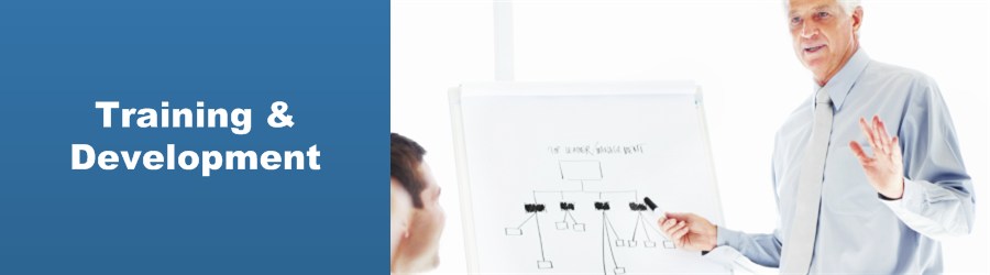 Training and Development