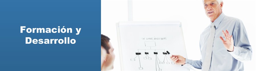 Formación y Desarrollo